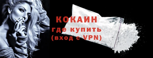 сатива Карпинск