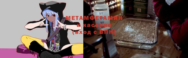 сатива Карпинск