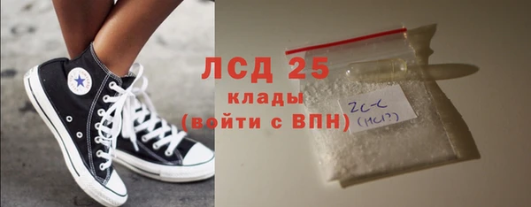 сатива Карпинск