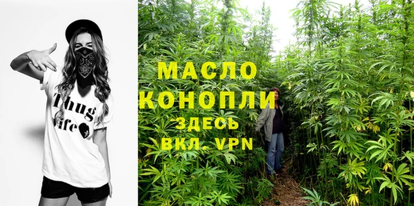сатива Карпинск