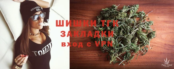 сатива Карпинск