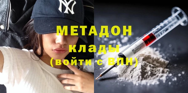 сатива Карпинск