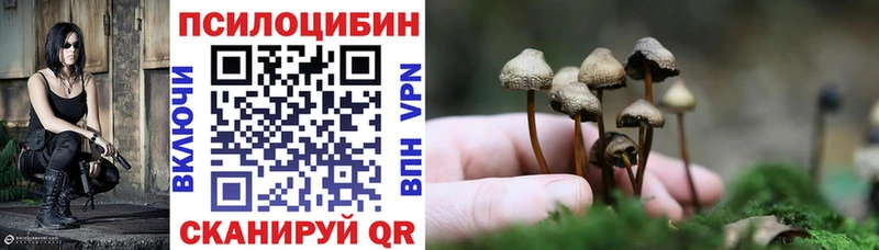 Купить закладки  Звенигород  Псилоцибиновые грибы мухоморы 